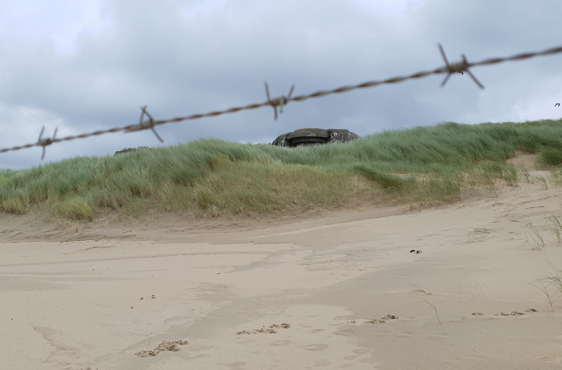 wire on beach